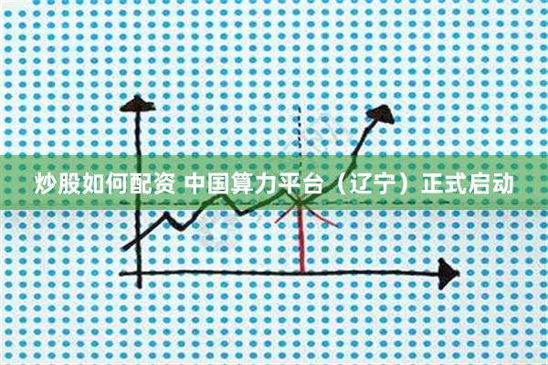 炒股如何配资 中国算力平台（辽宁）正式启动